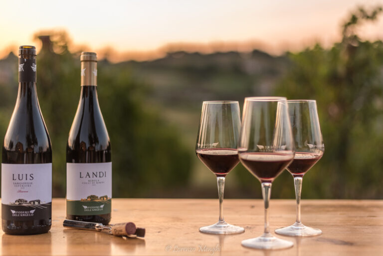 5PH 0374 scaled 6 768x513