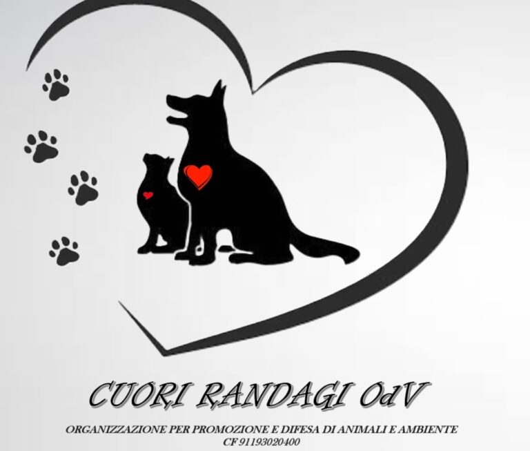 cuorirandagi profilo 5 768x653