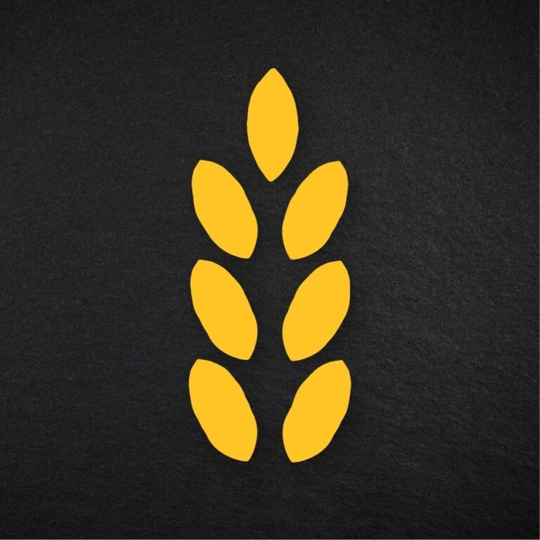 purogranorimini profilo 5 768x768