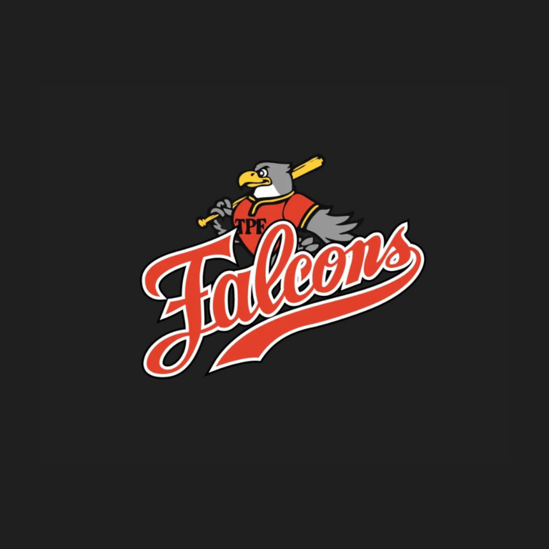 falcons profilo 5 768x768