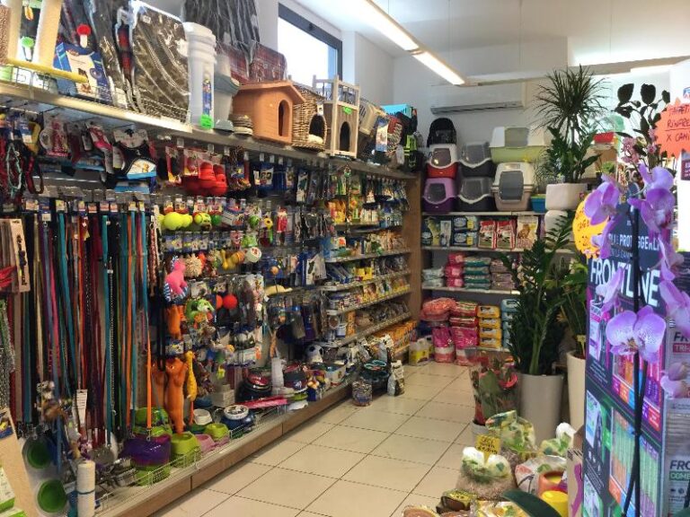 0WO0N0000021xIxWAI 14973962 768x576