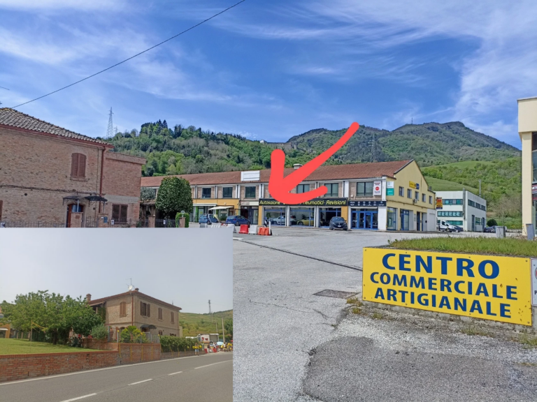 20250822 164412 0000 768x576