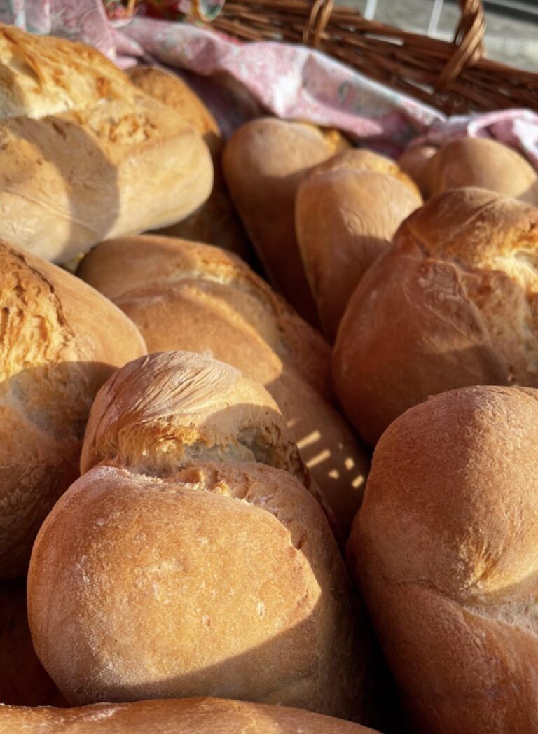 prolocomaiolo 03 768x1048