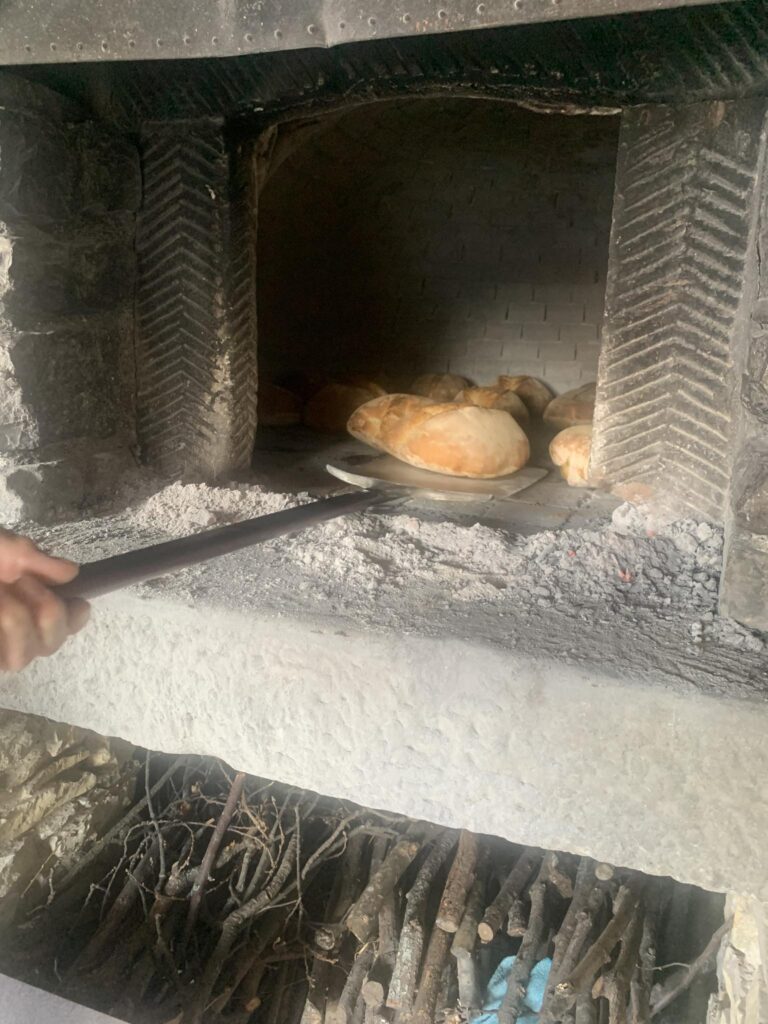 prolocomaiolo 04 768x1024